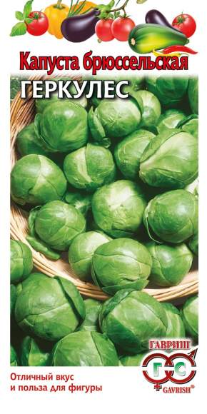 Капуста брюссельская Геркулес (гавриш) 0,2 гр – купить в г. Волгоград Капуста брюссельская Геркулес (гавриш) 0,2 гр – купить в г. Волгоград