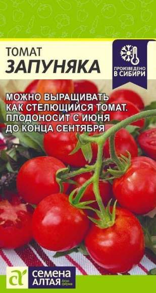 Томат Запуняка (семена Алтая) 0,05гр  – купить в г. Волгоград