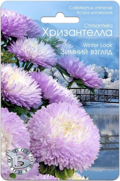 Хризантелла Зимний взгляд (биотехника) 30шт  – купить в г. Волгоград