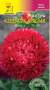 Астра Клеопатра красная (цветущий сад) 0,2 гр  – купить в г. Волгоград