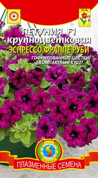 Петуния Эспрессо фраппе руби F1 (плазмас) 10шт  – купить в г. Волгоград