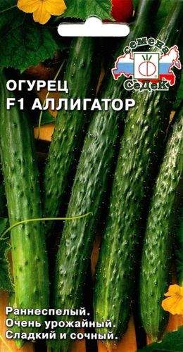 Огурец Аллигатор F1 (седек) 0,2 гр  – купить в г. Волгоград