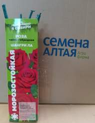 Роза Алтай чайно-гибридная Шангри Ла 1шт 