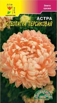 Астра Клеопатра персиковая (цветущий сад) 0,2 гр Астра Клеопатра персиковая (цветущий сад) 0,2 гр