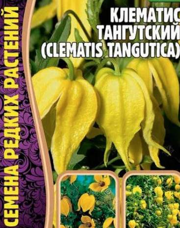 Клематис Тангутский (Григорьев) 10шт  – купить в г. Волгоград