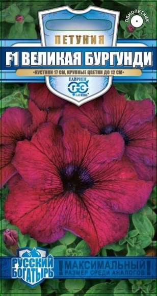 Петуния Великая бургунди F1 (гавриш) 7шт – купить в г. Волгоград Петуния Великая бургунди F1 (гавриш) 7шт – купить в г. Волгоград