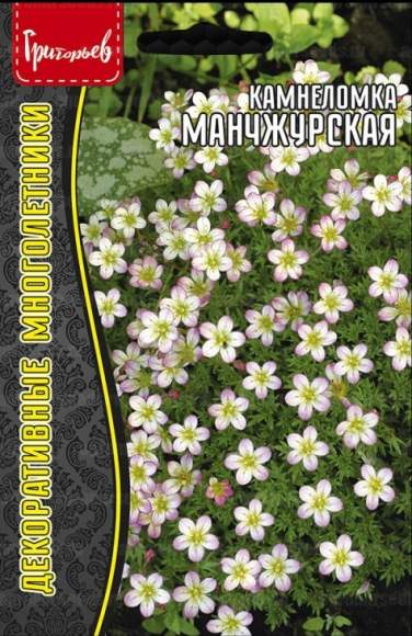 Камнеломка Манчжурская (Григорьев) 0,01гр  – купить в г. Волгоград