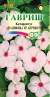 Катарантус Пацифика ХР Априкот (гавриш) 5шт  – купить в г. Волгоград