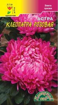 Астра Клеопатра розовая (цветущий сад) 0,2 гр Астра Клеопатра розовая (цветущий сад) 0,2 гр
