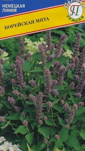 Мята Корейская (престиж) 0,05 гр – купить в г. Волгоград Мята Корейская (престиж) 0,05 гр – купить в г. Волгоград