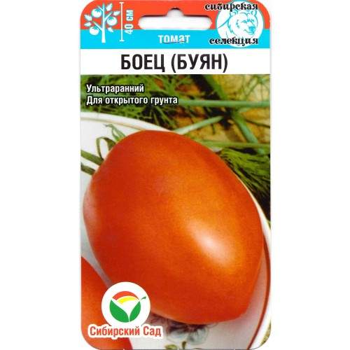 Томат Боец (Буян) (сибирский сад) 20 шт  – купить в г. Волгоград