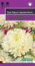 Астра Леди Корал кремово-белая (гавриш) 0,05 гр  – купить в г. Волгоград