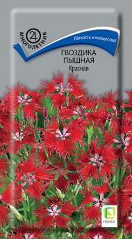 Гвоздика пышная Красная (поиск) 0,1гр многолетник