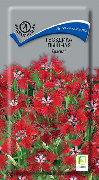 Гвоздика пышная Красная (поиск) 0,1гр многолетник  – купить в г. Волгоград