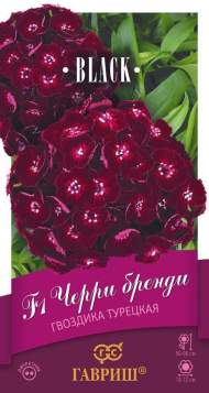 Гвоздика турецкая Черри бренди F1 (гавриш) 4 шт Гвоздика турецкая Черри бренди F1 (гавриш) 4 шт