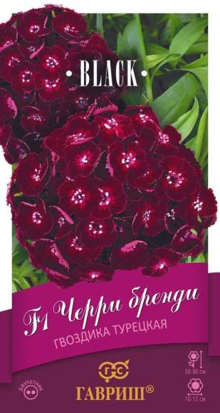 Гвоздика турецкая Черри бренди F1 (гавриш) 4 шт – купить в г. Волгоград Гвоздика турецкая Черри бренди F1 (гавриш) 4 шт – купить в г. Волгоград