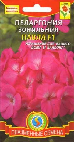 Пеларгония Павла F1 (плазмас) 3 шт – купить в г. Волгоград Пеларгония Павла F1 (плазмас) 3 шт – купить в г. Волгоград