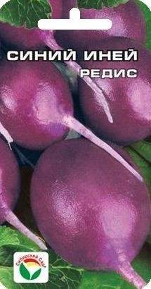 Редис Синий иней (сибирский сад) 2,0 гр  – купить в г. Волгоград