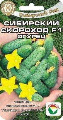 Огурец Сибирский скороход F1 (сибирский сад) 7 шт  – купить в г. Волгоград