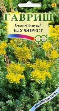 Седум Блу форест (гавриш) 0,01гр Седум Блу форест (гавриш) 0,01гр