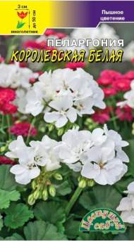 Пеларгония Королевская Белая (цветущий сад) 0,02гр Пеларгония Королевская Белая (цветущий сад) 0,02гр