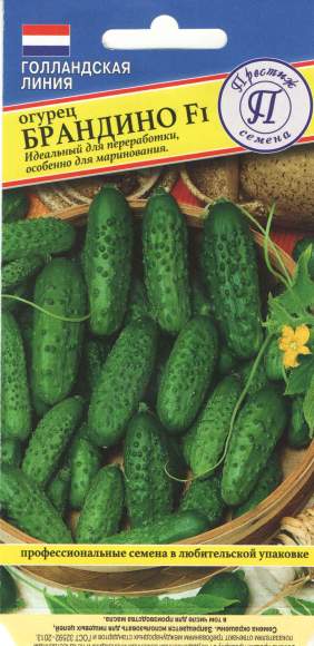 Огурец Брандино F1 (престиж) 3 шт  – купить в г. Волгоград