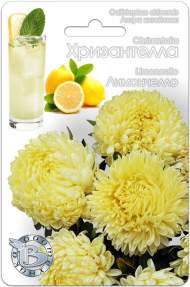 Хризантелла Лимончелло (биотехника) 30шт