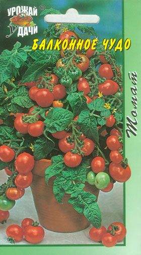 Томат Балконное чудо (цветущий сад) 0,05 гр  – купить в г. Волгоград