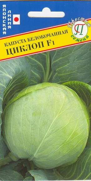 Капуста б/к Циклоп F1 (престиж) 10 шт  – купить в г. Волгоград