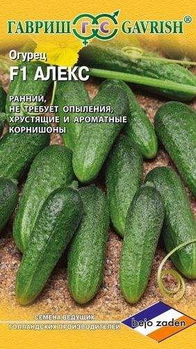 Огурец Алекс F1 (гавриш) 5 шт (bejo)  – купить в г. Волгоград