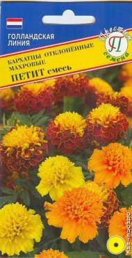 Бархатцы Петит махровая смесь (престиж) 20 шт