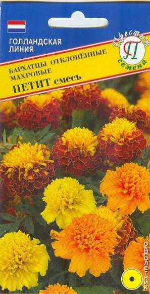 Бархатцы Петит махровая смесь (престиж) 20 шт – купить в г. Волгоград Бархатцы Петит махровая смесь (престиж) 20 шт – купить в г. Волгоград