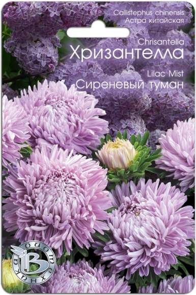 Хризантелла Сиреневый туман (биотехника) 30шт  – купить в г. Волгоград