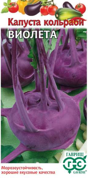 Капуста кольраби Виолета (гавриш) 0,5 гр  – купить в г. Волгоград