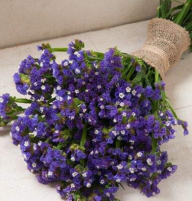 Статица Суприм синяя (поиск) 0,15 гр  – купить в г. Волгоград