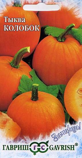 Тыква Колобок (гавриш) 1,0гр – купить в г. Волгоград Тыква Колобок (гавриш) 1,0гр – купить в г. Волгоград