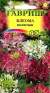 Клеома Матильда (гавриш) 0,2 гр  – купить в г. Волгоград