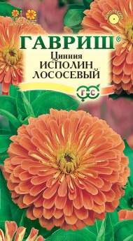 Цинния Исполин лососевый (гавриш) 0,3 гр