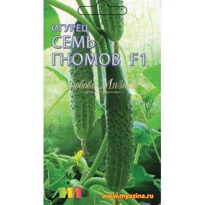 Огурец Семь гномов F1 (мязина) 8шт  – купить в г. Волгоград