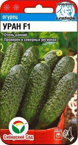 Огурец Уран F1 (сс) 5шт  – купить в г. Волгоград