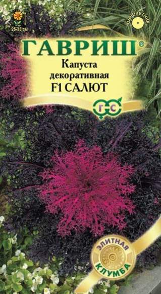 Капуста декоративная Салют F1 (гавриш) 6шт  – купить в г. Волгоград