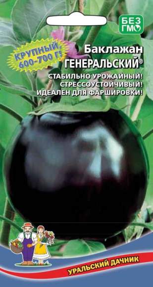 Баклажан Генеральский (уральский дачник) 20шт  – купить в г. Волгоград