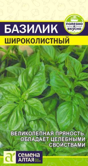 Базилик Широколистный (семена Алтая) 0,3гр  – купить в г. Волгоград