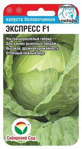 Капуста б/к Экспресс F1 (сибирский сад) 25шт  – купить в г. Волгоград