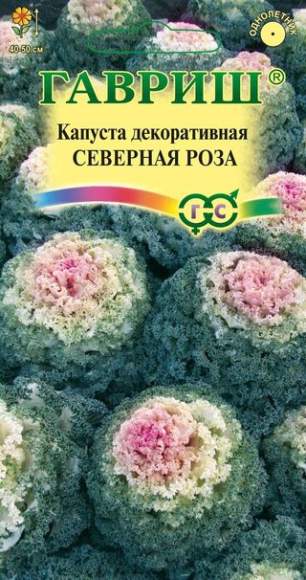 Капуста декоративная Северная роза (гавриш) 0,05гр  – купить в г. Волгоград