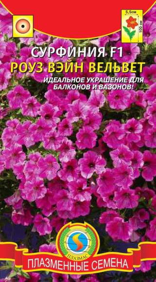 Сурфиния Роуз вэйн вельвет F1 (плазмас) 5шт  – купить в г. Волгоград
