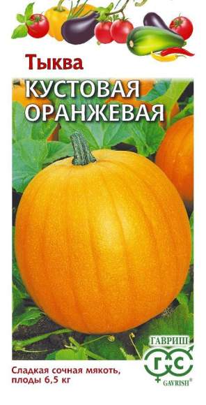 Тыква Кустовая оранжевая (гавриш) 1,0гр  – купить в г. Волгоград