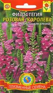 Физостегия Розовая королева (плазмас) 10 шт  – купить в г. Волгоград