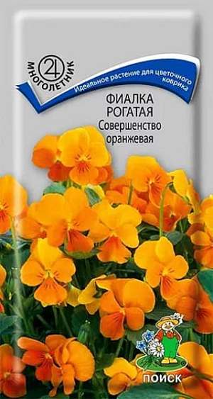 Фиалка Совершенство оранжевая (поиск) 0,1 гр многолетник  – купить в г. Волгоград
