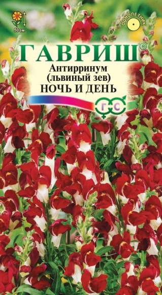 Львиный зев Ночь и День (гавриш) 0,05гр  – купить в г. Волгоград